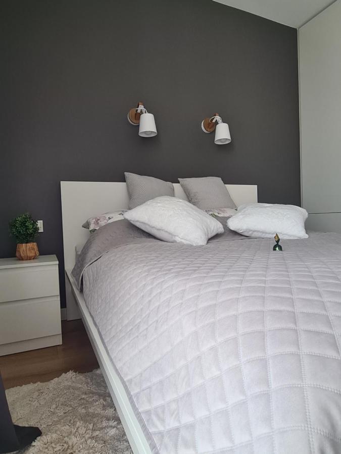 Posnania Comfort Apartment, Free Parking, Self Check-In 24H Πόζναν Εξωτερικό φωτογραφία